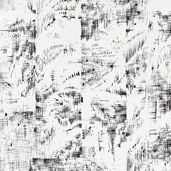 Permanence and Passage, Detail 2 AO10066