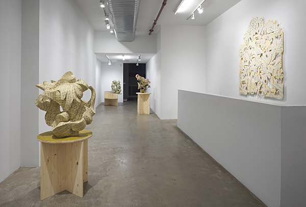 Installation View 2024 11