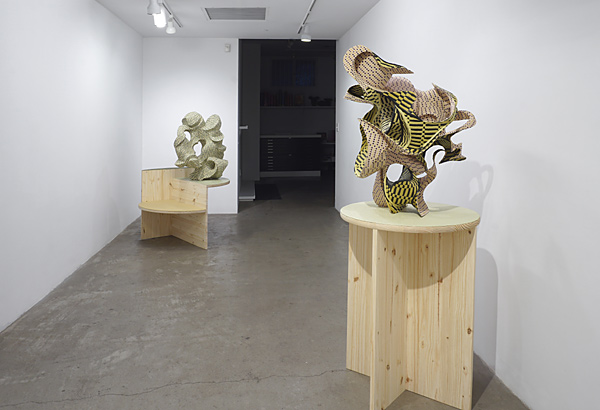 Installation View 2024 23