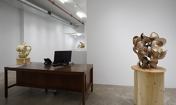 Installation View 2024 6