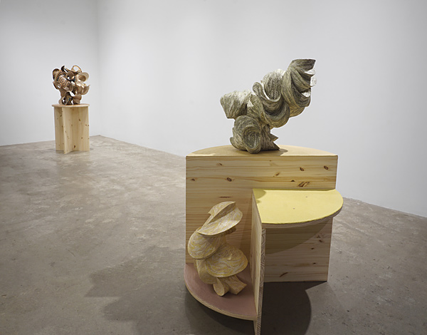 Installation View 2024 9