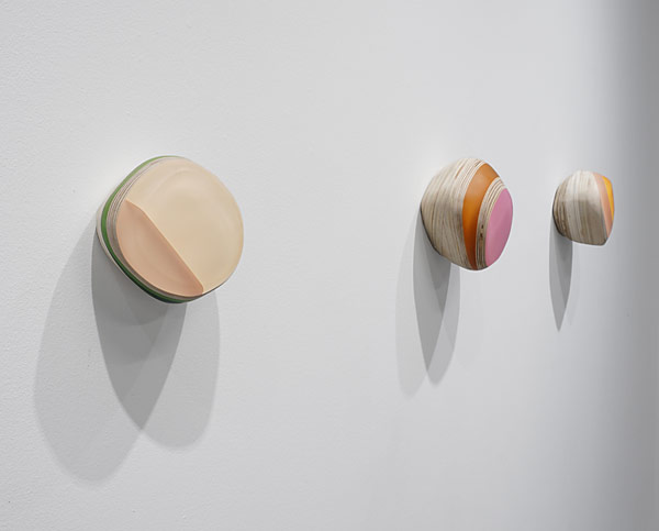 Installation View 2025 5