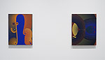 Curvilinear Abstraction, 2025 installation 9