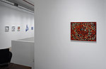 Curvilinear Abstraction, 2025 installation 10