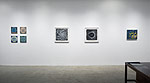 Curvilinear Abstraction, 2025 installation 12
