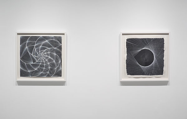 Installation View 2025 14