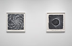 Curvilinear Abstraction, 2025 installation 14