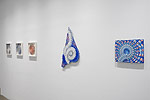 Curvilinear Abstraction, 2025 installation 17