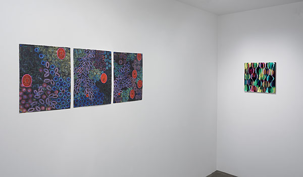 Installation View 2025 21