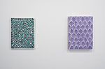 Curvilinear Abstraction, 2025 installation 24