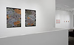 Curvilinear Abstraction, 2027 installation 25