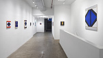 Don Voisine, 2025 installation 11