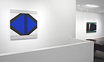 Don Voisine, 2025 installation 14