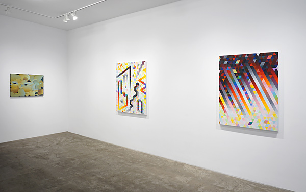 Installation View 2023-24 1