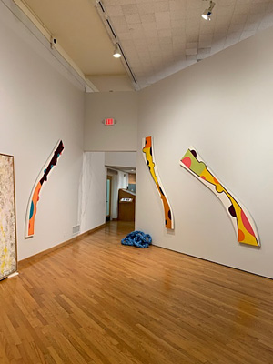 Gary Petersen, Zimmerli Art Museum