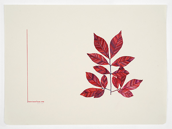 Red Leaf JR10081