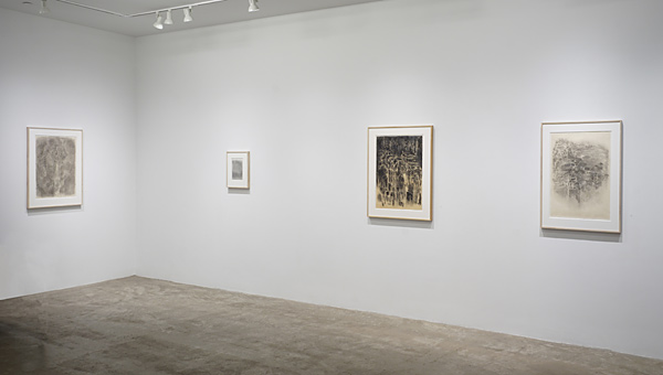 Installation View 2024 1