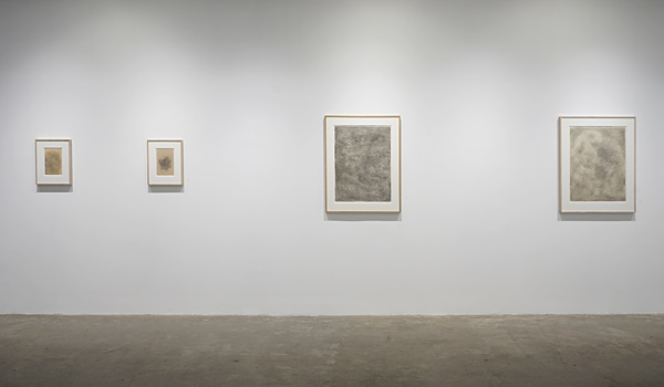 Installation View 2024 5