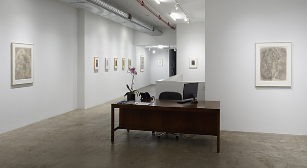 Installation View 2024 7