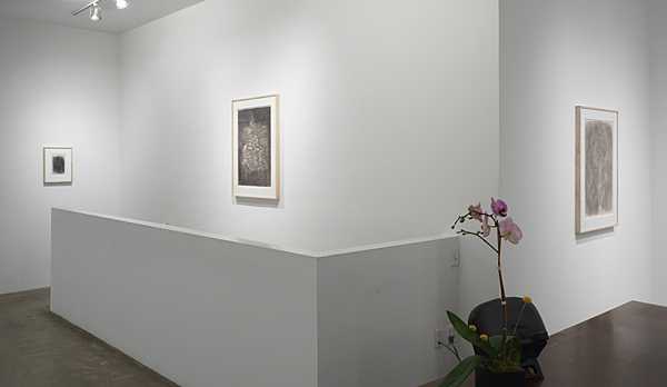 Installation View 2024 8