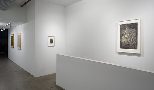 Installation View 2024 9