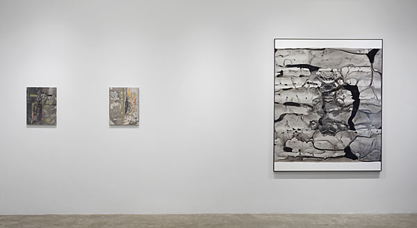 Installation View 2026 2