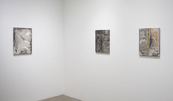 Installation View 2026 4
