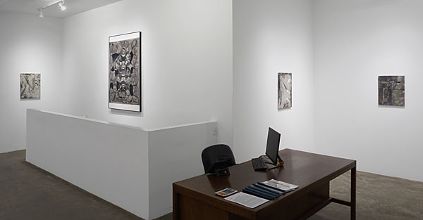 Installation View 2026 5