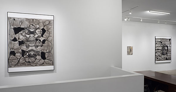 Installation View 2026 7