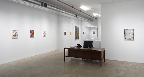 Installation View 2026 8