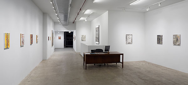 Installation View 2026 9