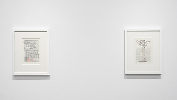 Installation View 2026 4