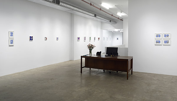 Installation View 2026 9