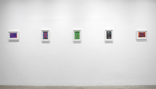 Installation View 2026 17