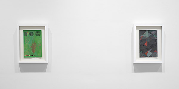 Installation View 2026 19