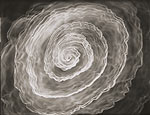 Maureen McQuillan, Untitled Photogram (Small Spiral/Counterclockwise)