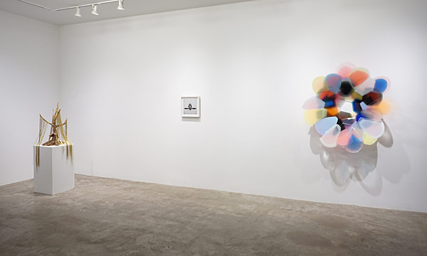 Installation View 2025-26 1