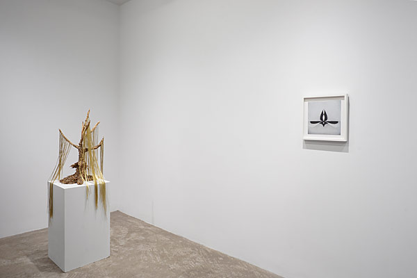 Installation View 2025-26 5