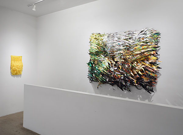 Installation View 2025-26 15