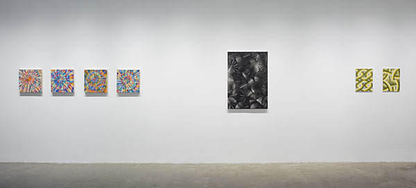Installation View 2026 6