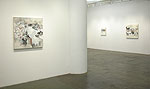 Reed Danziger, 2012 installation 1