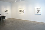 Reed Danziger, 2013 installation 1
