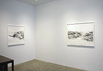 Reed Danziger, 2013 installation 2