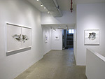 Reed Danziger, 2013 installation 6