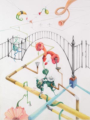 Untitled 50