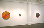 Chris Gallagher, installation 7