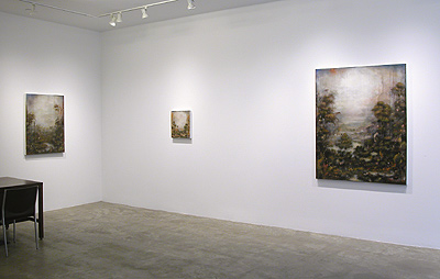 Installation view 2015 1