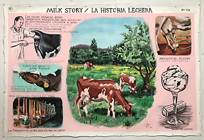 Lowe, Milk Story