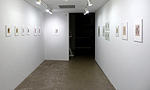 James Nelson, installation view 19