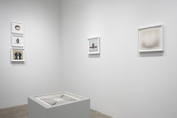 Installation View 2023 8